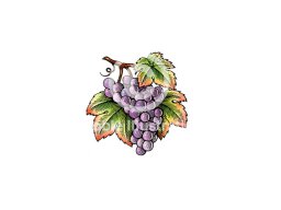 grapes color 2